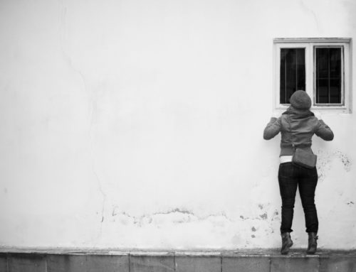 Was treiben denn die Nachbarn so?